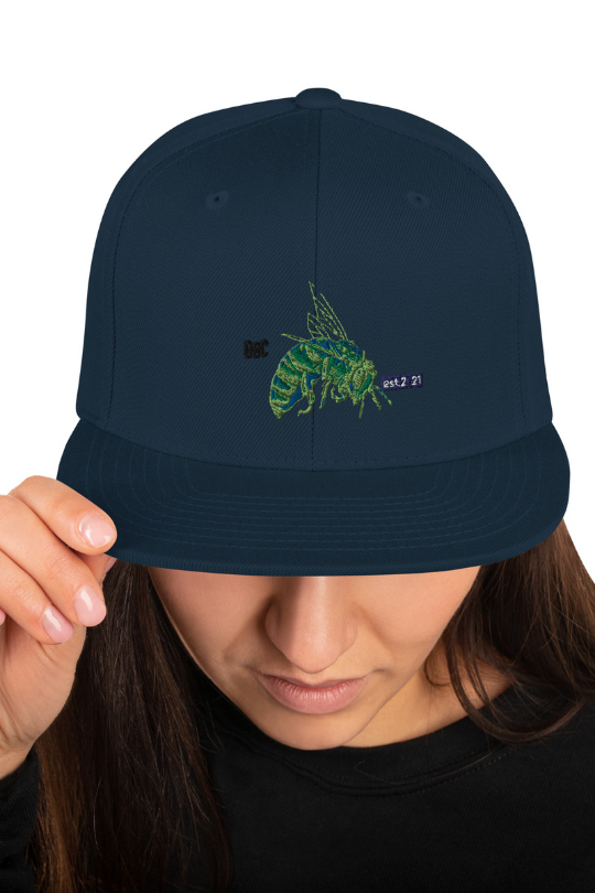 Damani Bee Snapback Hat