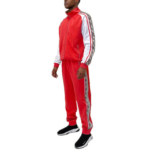 Snake Print Track Suit