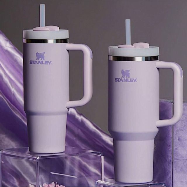 Stainless Steel Insulated Tumbler With Lid And Straw